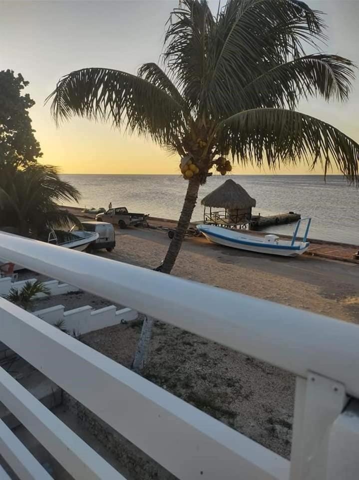 Posada "Las Palmeras" Inn in State of Quintana Roo
