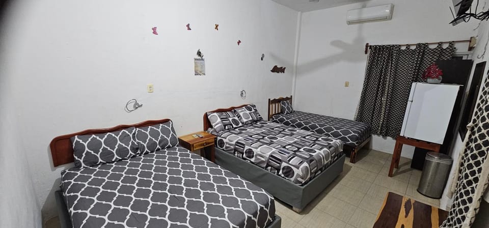 Posada "Las Palmeras" Inn in State of Quintana Roo