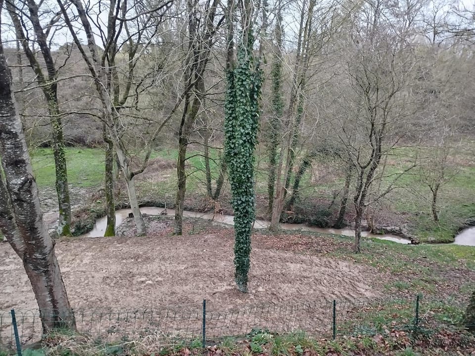 Spring, Natural landscape, Garden view