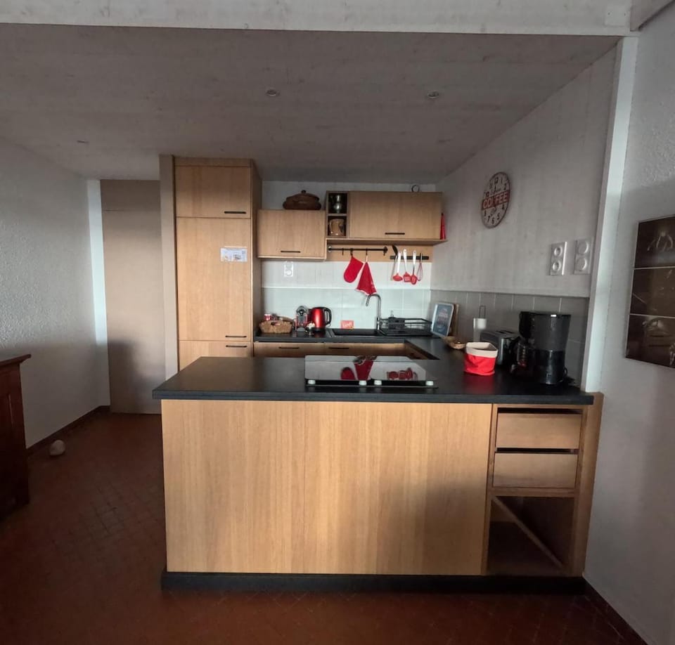 Les Belles Plages de Christine Apartment in La Grande-Motte