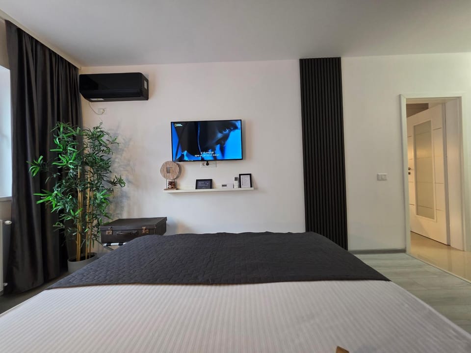 Bed, TV and multimedia, Photo of the whole room, Decorative detail, Bedroom, air conditioner