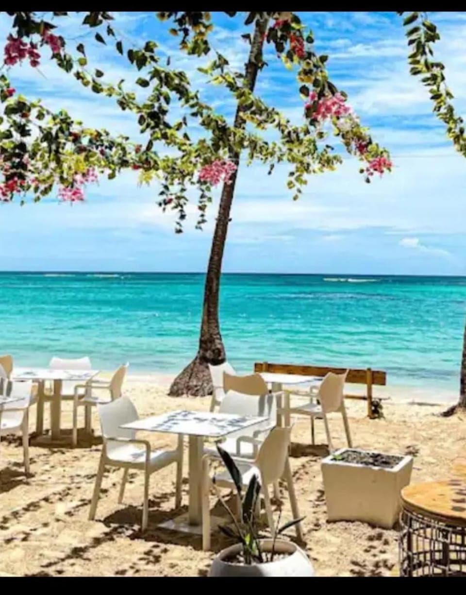 Nearby landmark, Spring, Day, Natural landscape, Beach, Sea view, sunbed