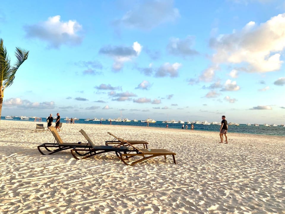 Day, People, Natural landscape, Beach, Guests, Sea view, group of guests, sunbed
