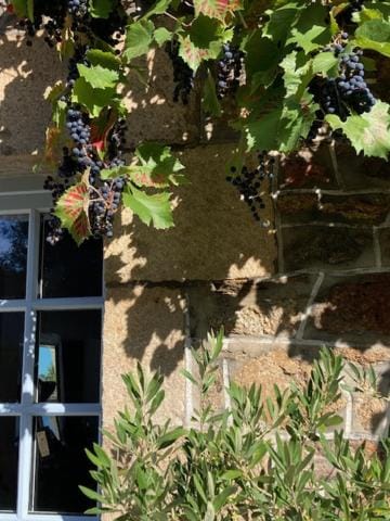 Ker Gwezenn Bed and Breakfast in Brittany