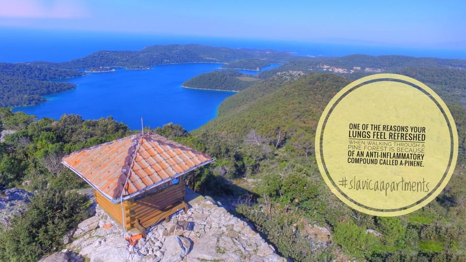 Natural landscape, Snorkeling, Canoeing, Hiking, Cycling