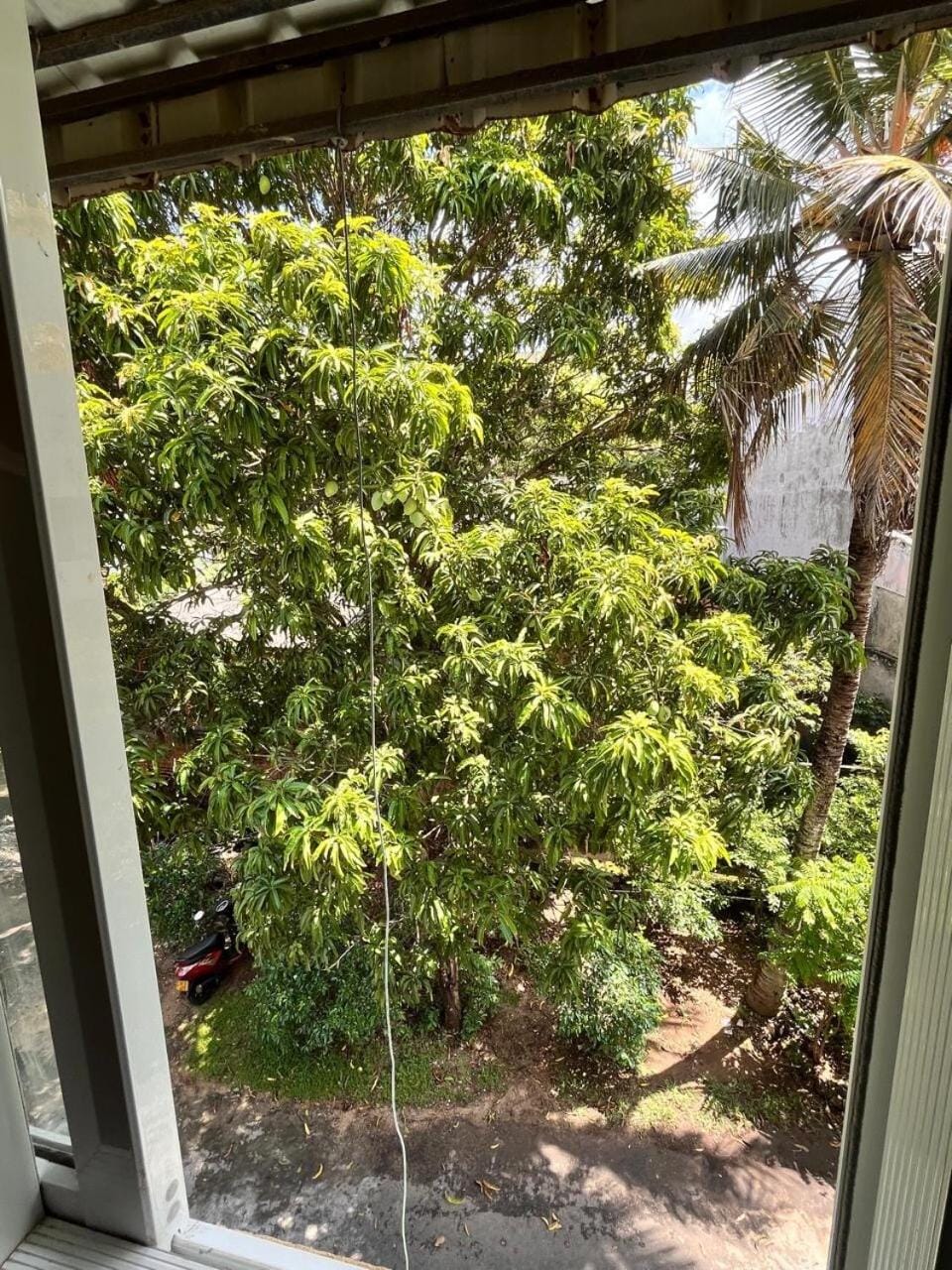 Enjoy the newly renovated home Apartment in Colombo