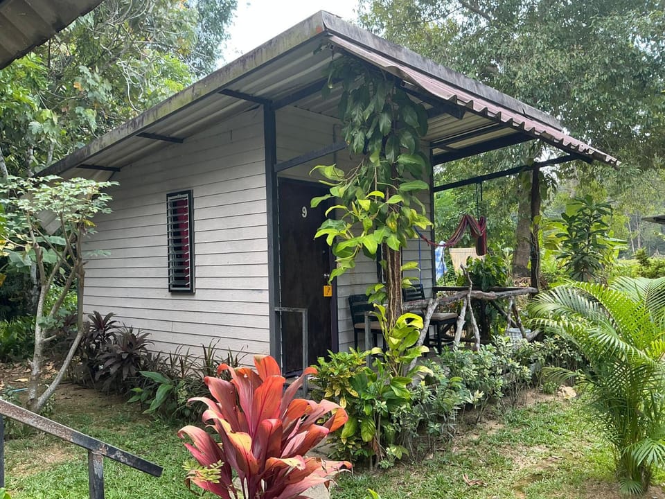 Property building, Garden, Garden view