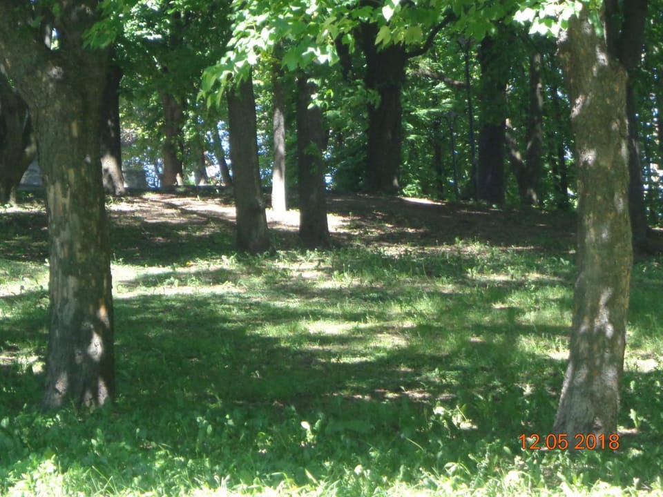 Property building, Natural landscape