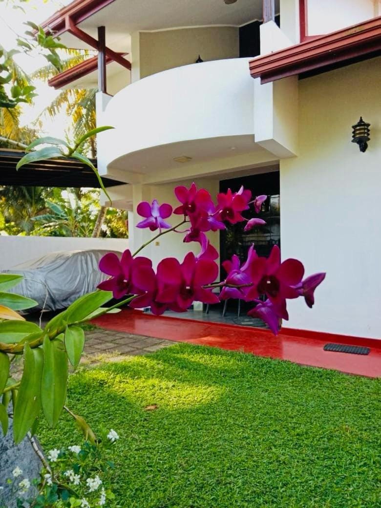 Lagoon Stay Vacation rental in Southern Province