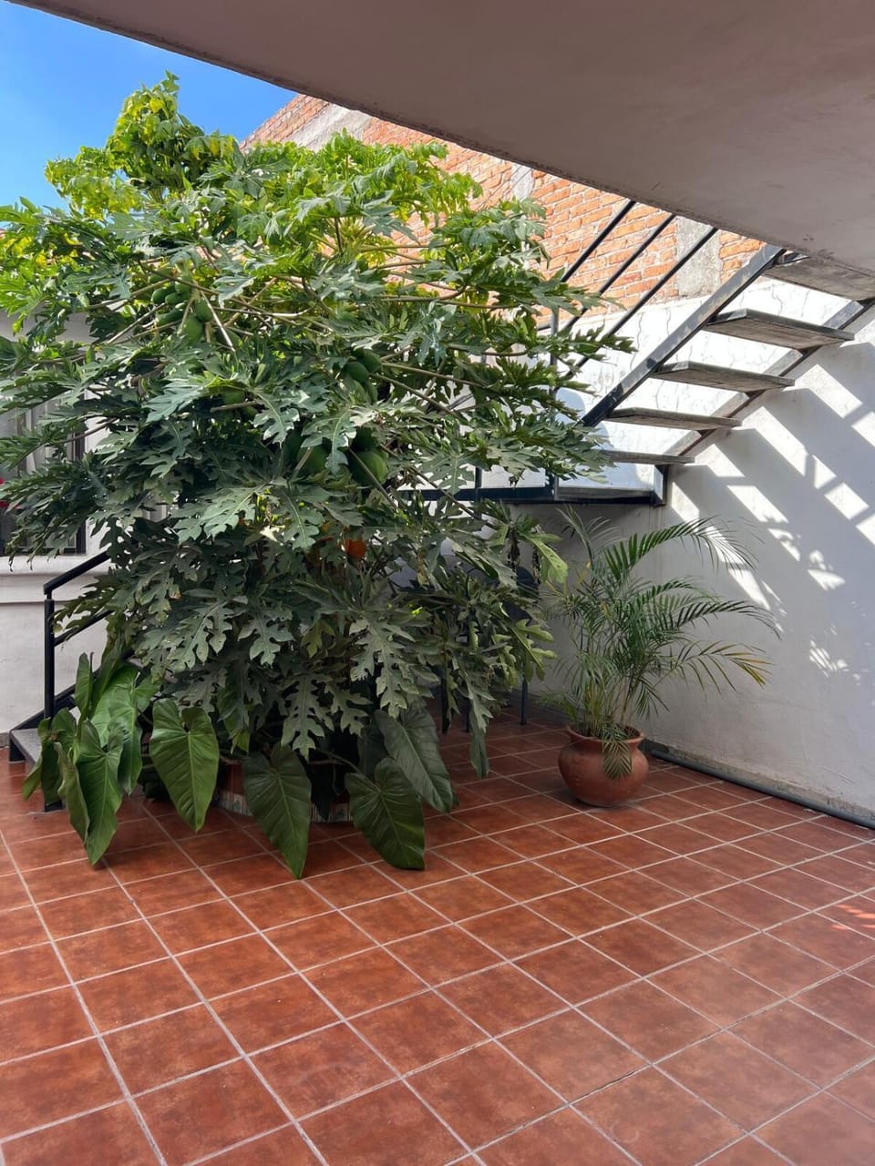 comfortable and nice loft, great location Apartment in Aguascalientes