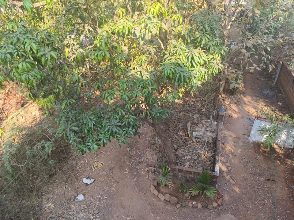 Peaceful Apartment Stay Near Mandrem Beach, North Goa Apartment in Mandrem