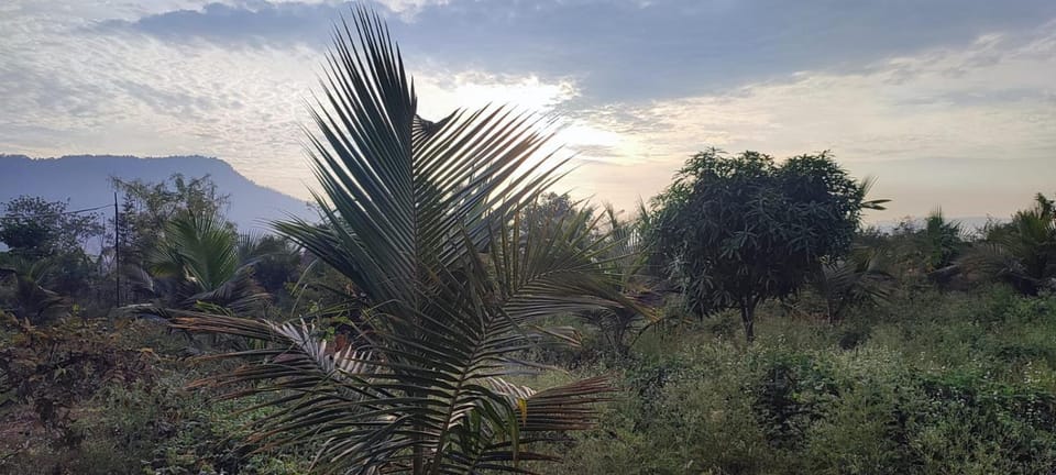 Aalamaram Farm Farm Stay in Tamil Nadu