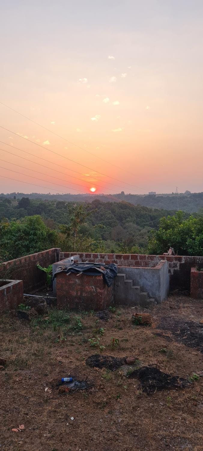 View (from property/room)