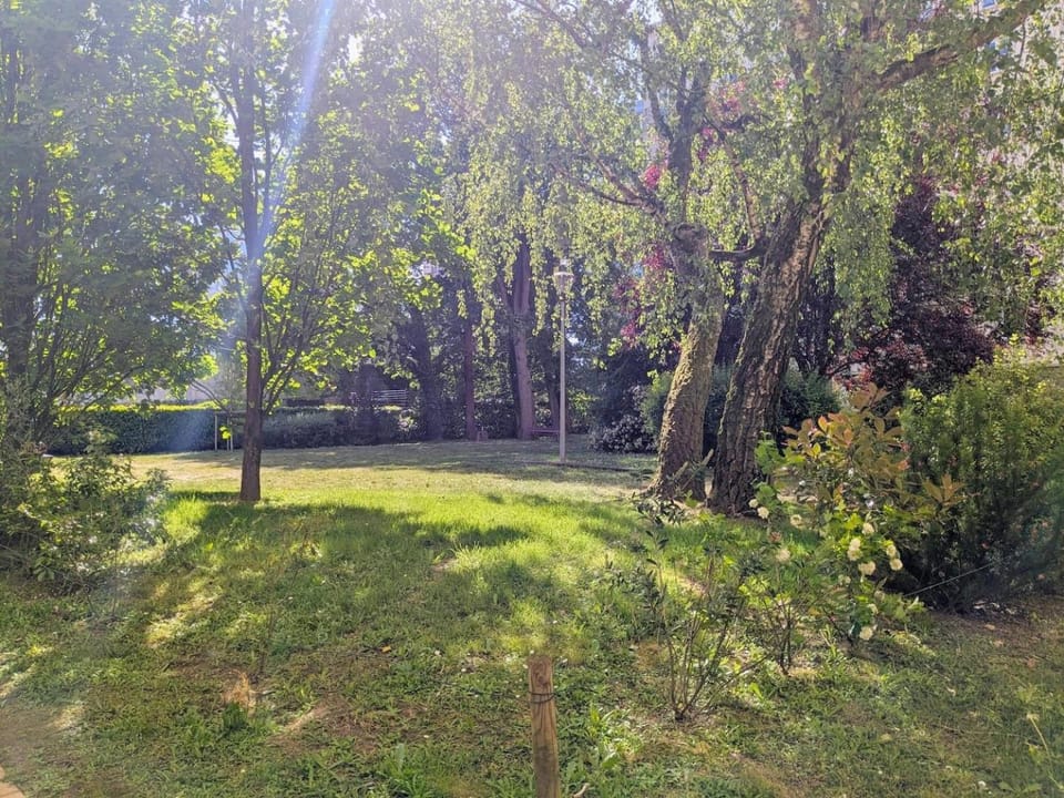 Property building, Garden