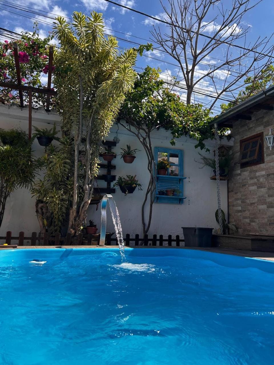 Day, Garden, Pool view, Swimming pool, Swimming pool