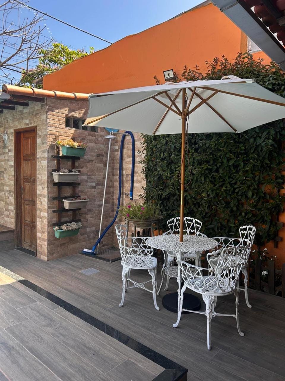 Day, Garden, Swimming pool