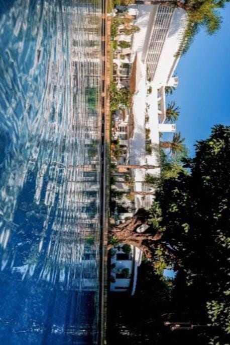 Restaurant/places to eat, Natural landscape, Garden, Pool view, Swimming pool