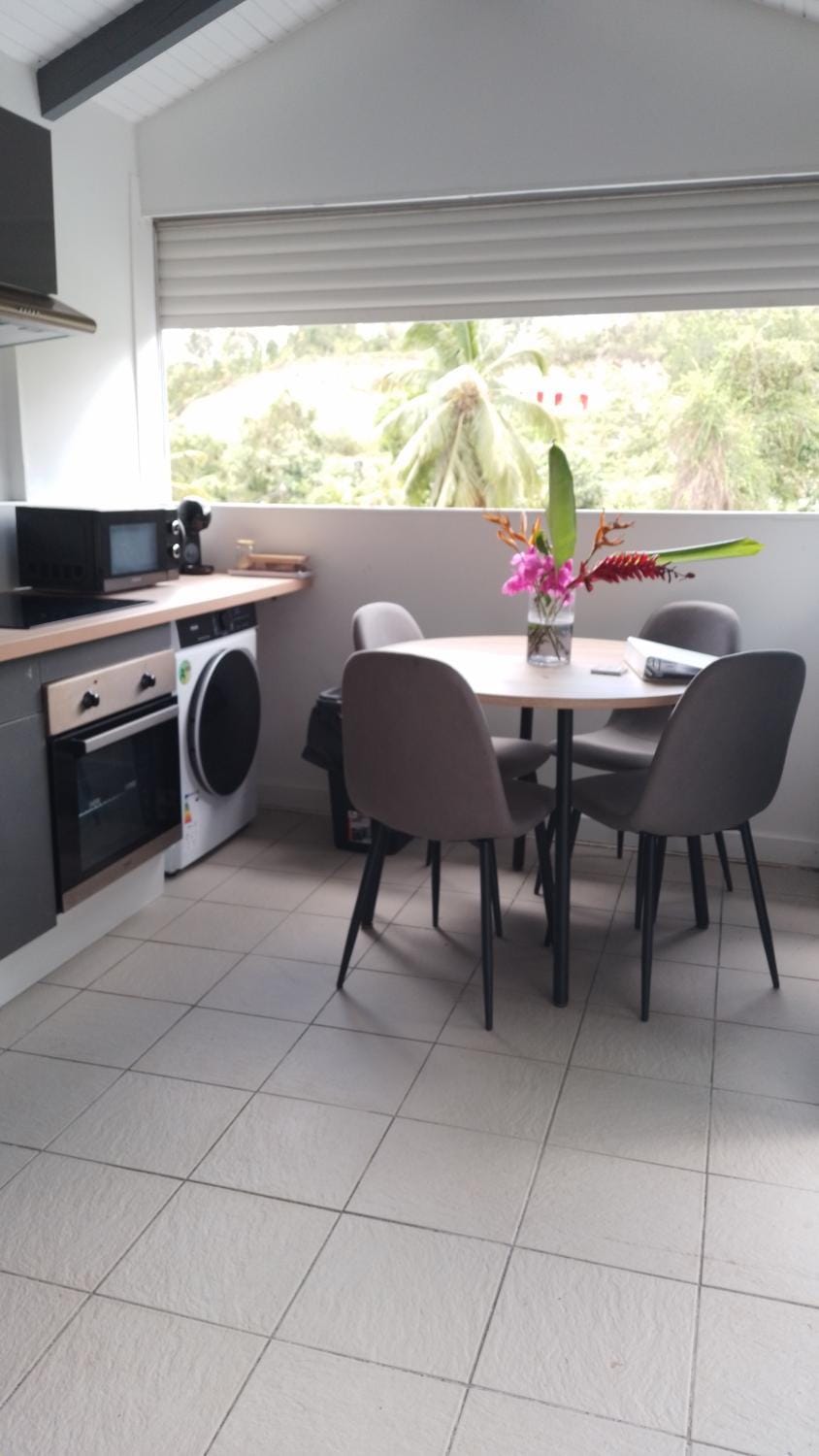 Villa Aloha House in Les Abymes