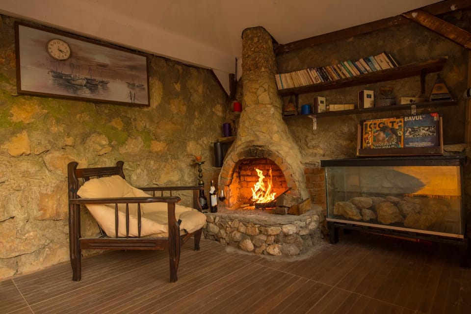 Library, fireplace