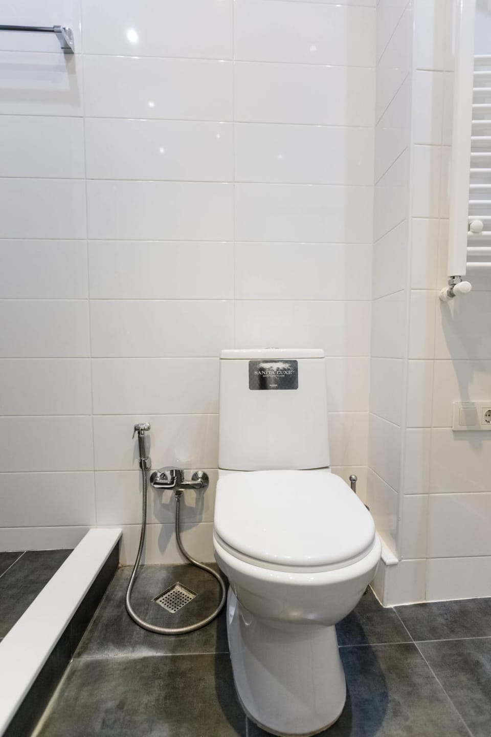 Shower, Toilet, Bathroom, bidet