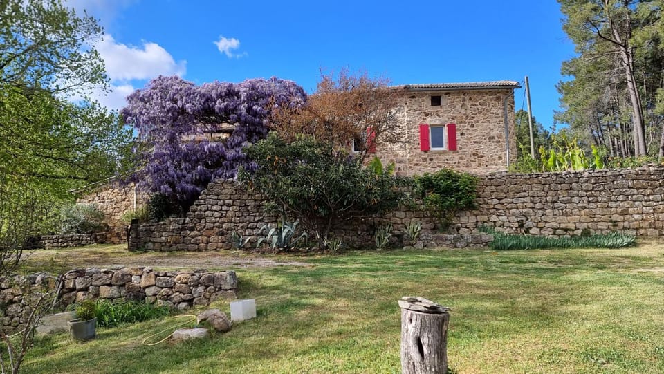Property building, Spring, Garden, Garden view