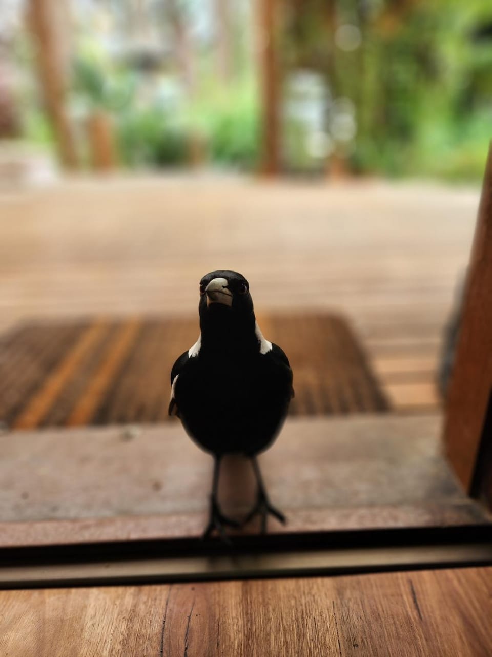 Rustic Mudbrick Retreat, Short Walk to Beach House in Mallacoota
