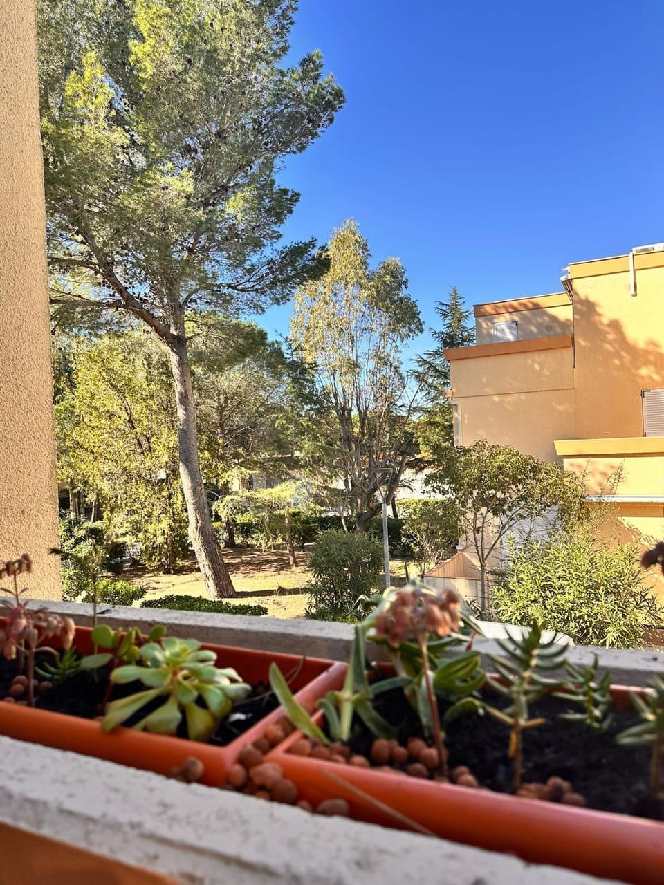 Patio, Garden, View (from property/room), Balcony/Terrace, Balcony/Terrace, Garden view