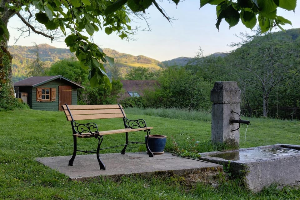 Garden, Mountain view