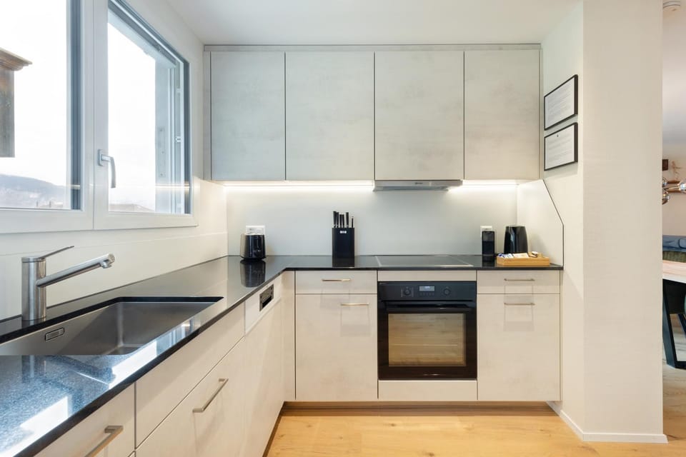 Kitchen or kitchenette, dishwasher, stove