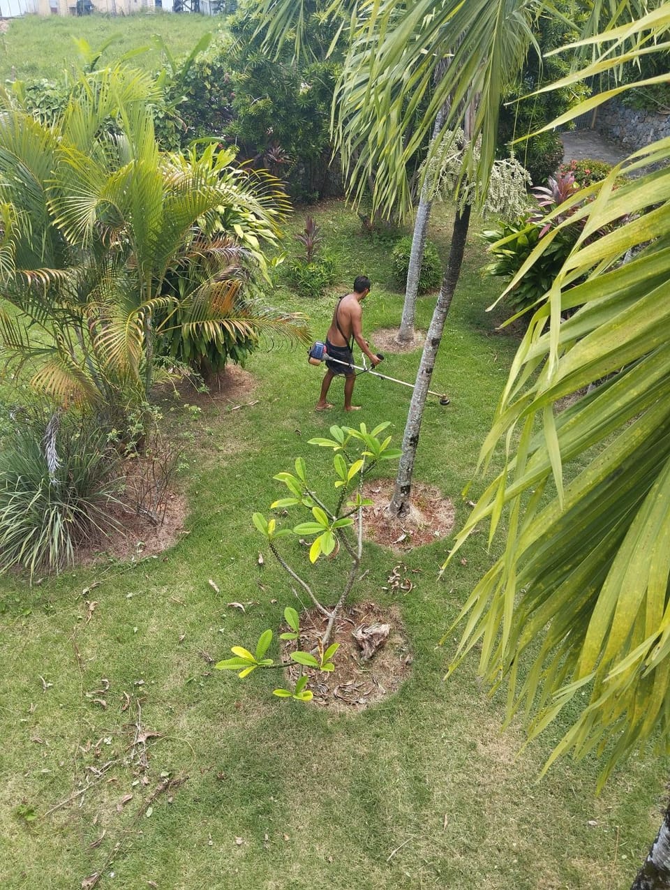 Casa mar Apartment in Las Galeras