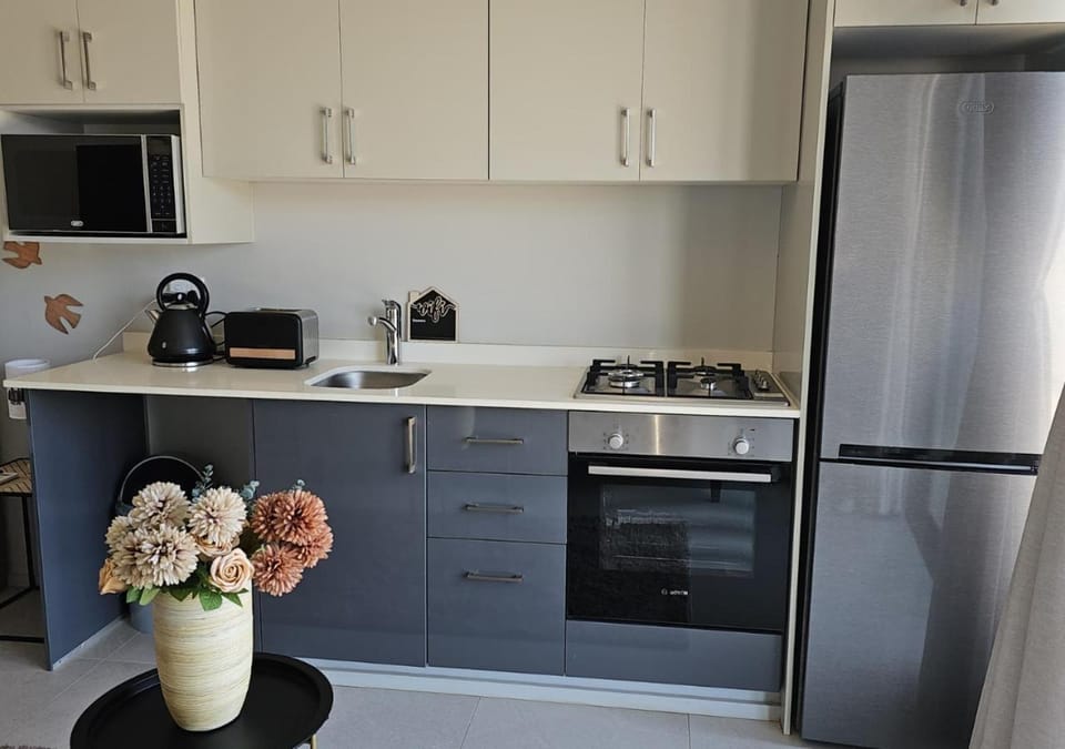 Kitchen or kitchenette, microwave, stove, toaster