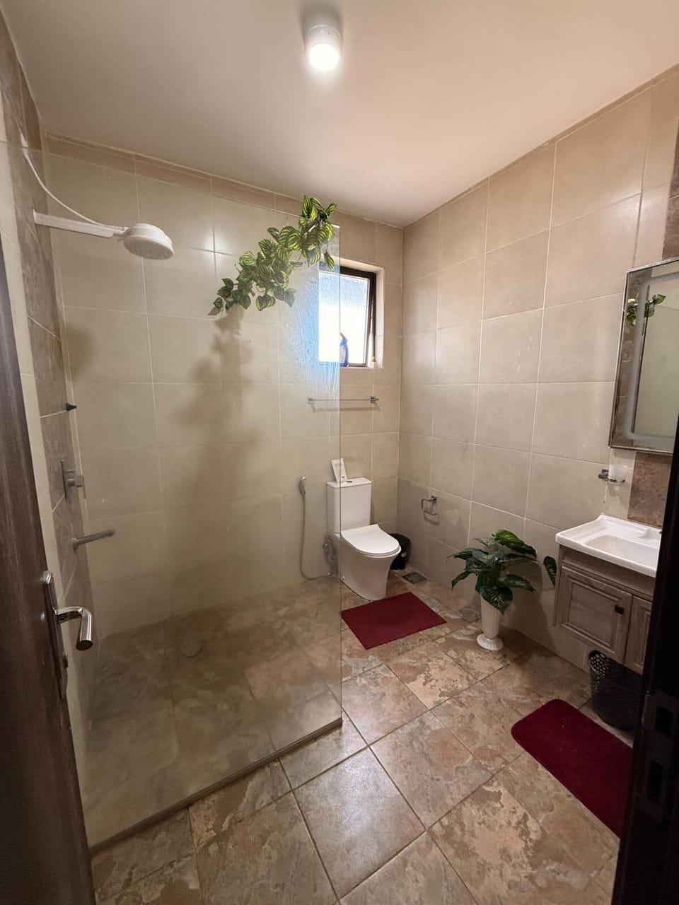 Shower, Toilet, Bathroom, Bath, bidet, towels