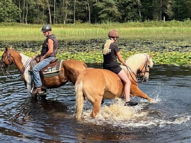 Relaxed Guesthouse Apartment in Roggel