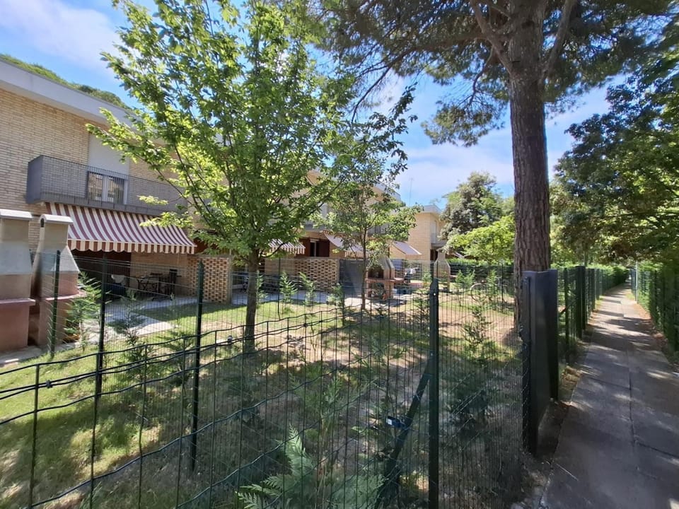 Neighbourhood, Garden, Animals
