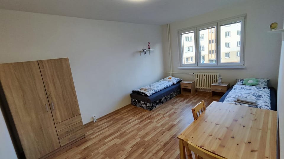 Apartmán pro 4 osoby, Habartov Apartment in Czechia