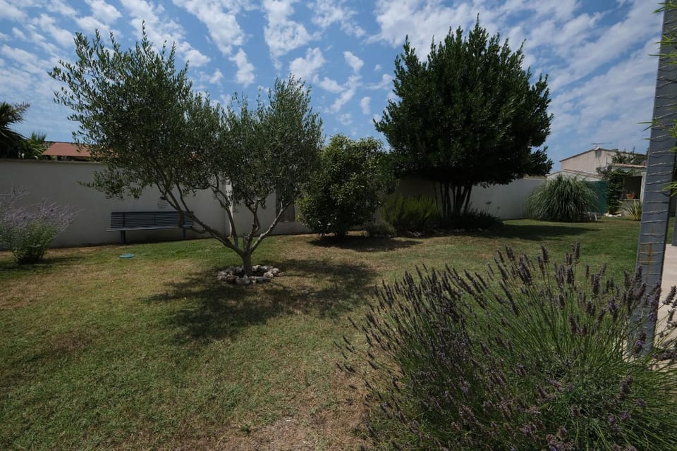 Patio, Garden, Garden view