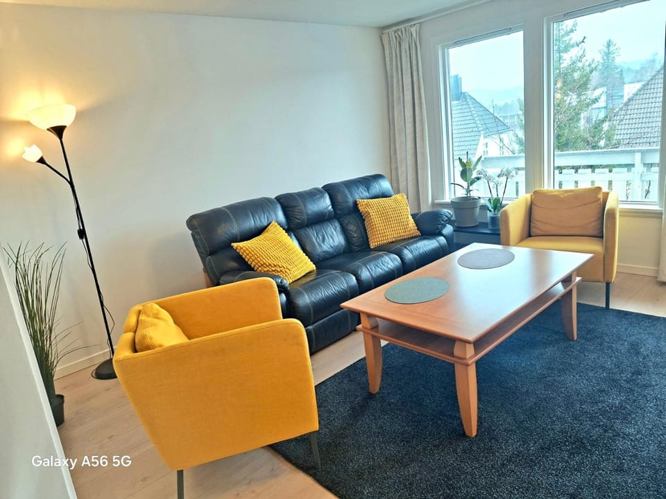 Stay Together in One Spacious 3 Storey Home Private Comfortable Ideal for Groups Apartment in Norway