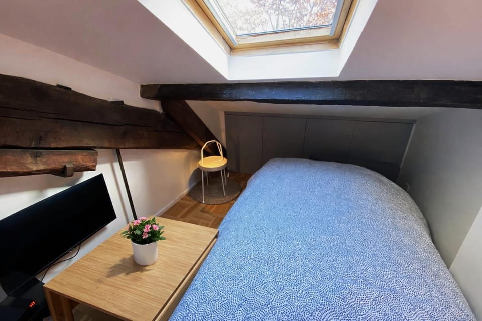 Bright gem in the heart of the 9th Just steps from the quays Apartment in Lyon