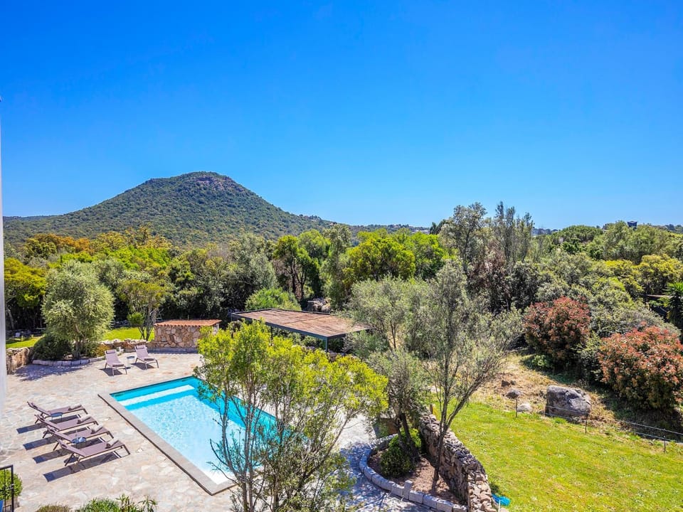Spring, Day, Natural landscape, Garden, Garden view, Mountain view, Swimming pool, sunbed