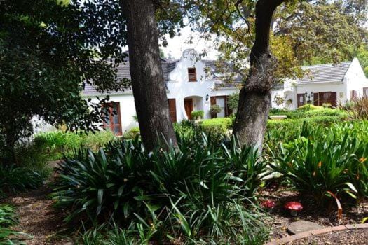 Cape Dutch Family Home in the Winelands House in Cape Town