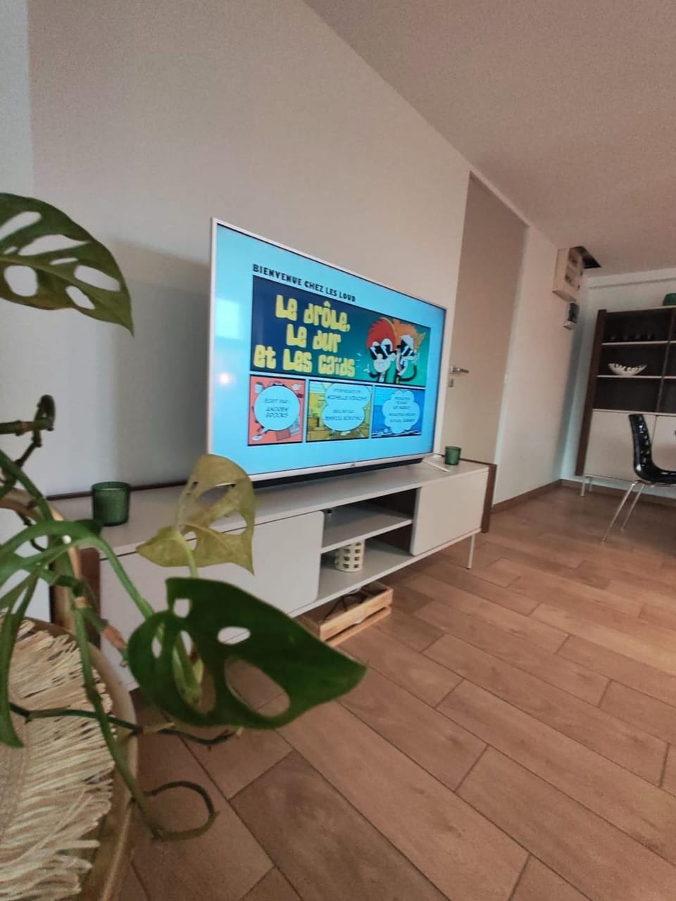 TV and multimedia