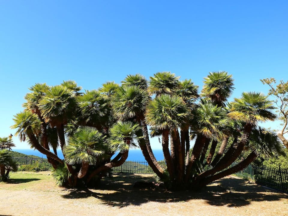 Garden view, Sea view