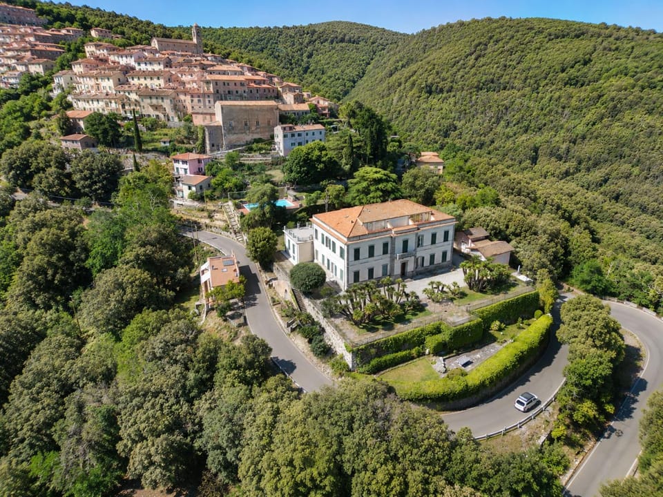 Bird's eye view, City view, Garden view, Pool view, Street view
