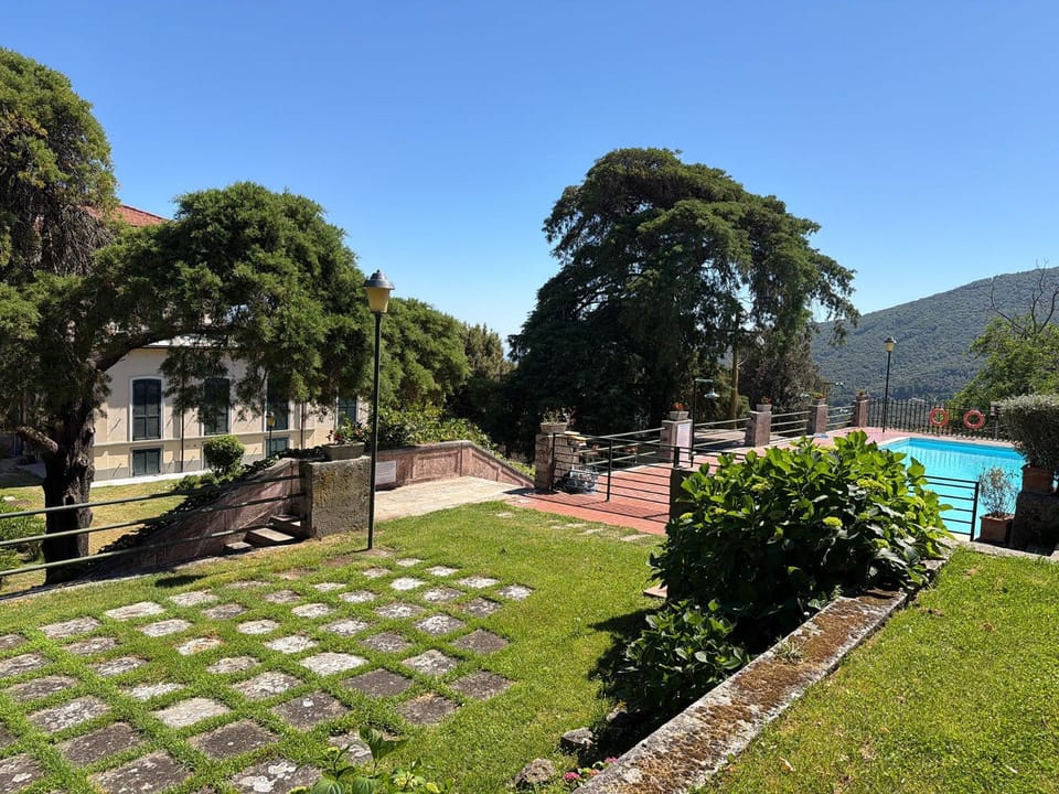 Garden, Swimming pool