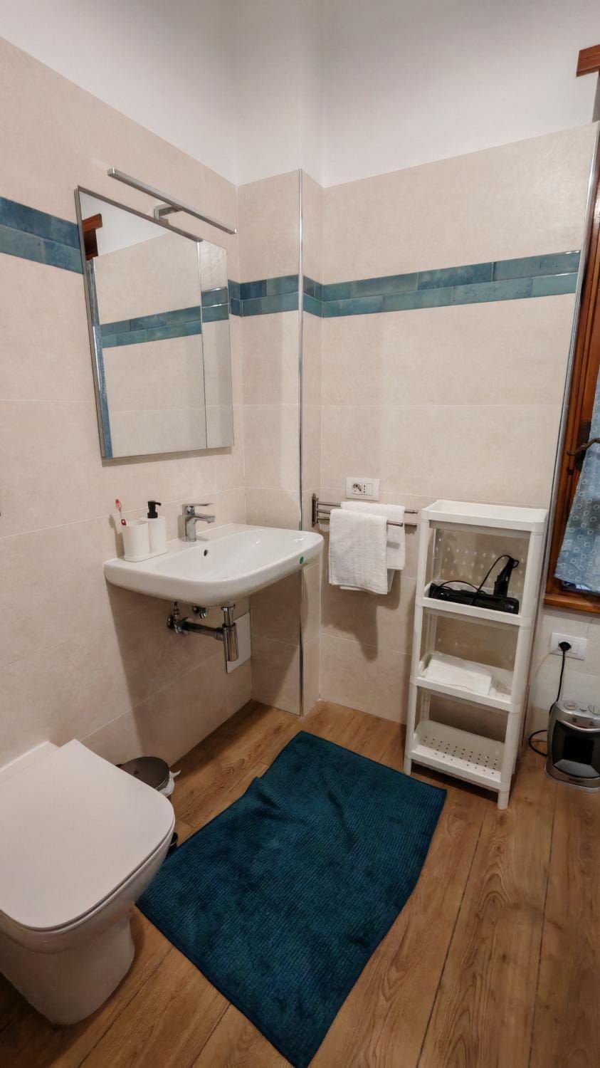 Shower, Toilet, Bathroom, bidet, hair dryier, towels
