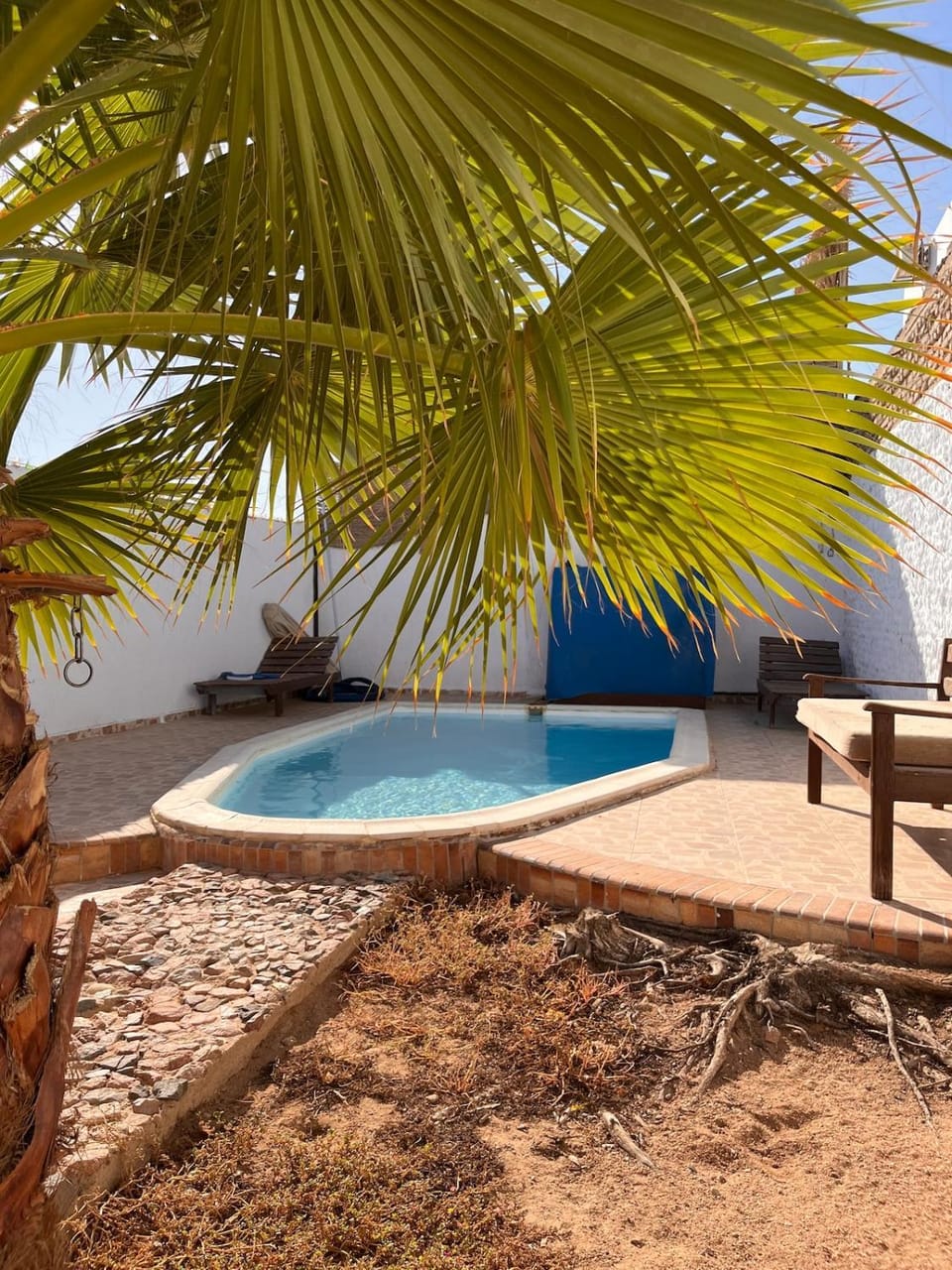 Garden, Swimming pool