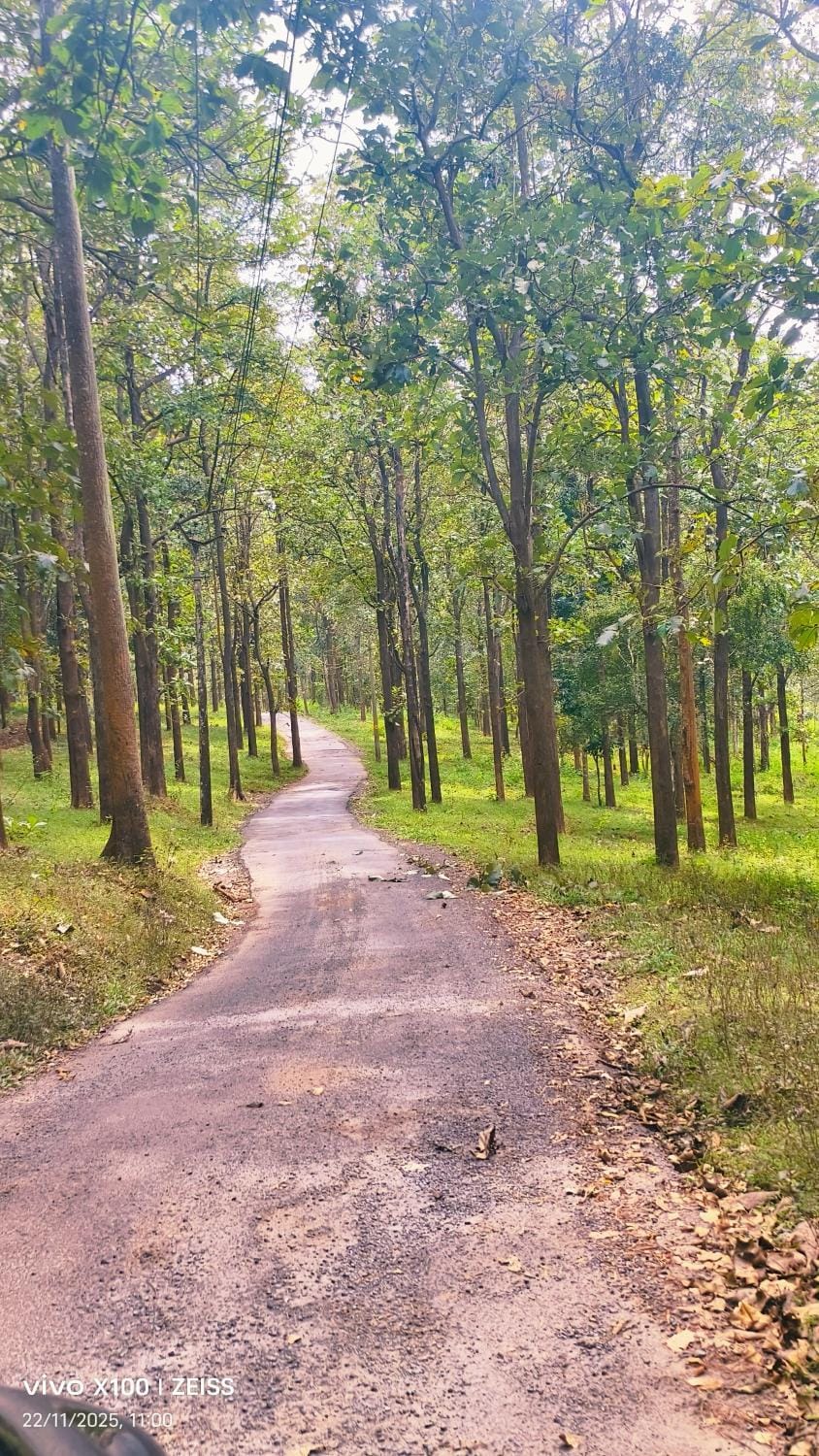 Natural landscape