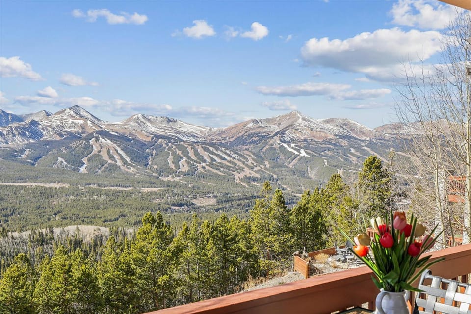 Charter Ridge 22 Great Views, Private Hot Tub! House in Breckenridge