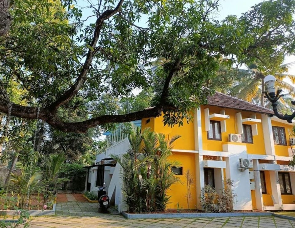 Property building, Garden, Garden view