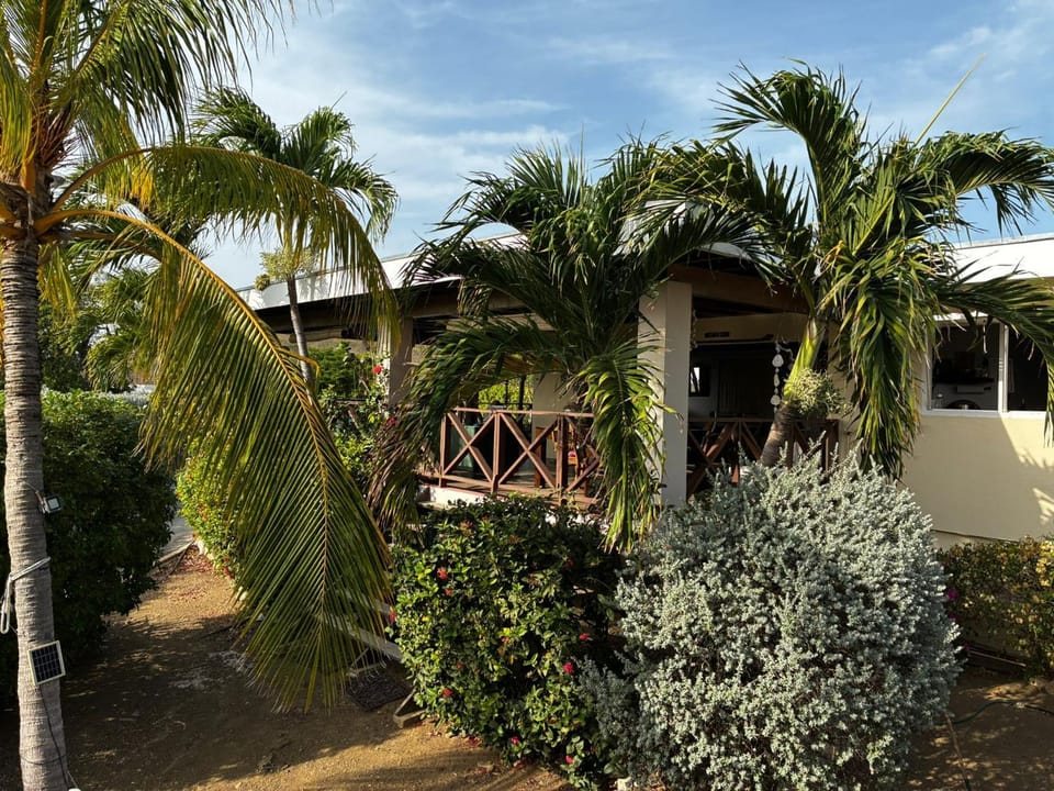 Property building, Garden